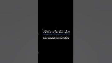 سورة المائدة: الآية [٤٨]#القرآن_الكريم #الفرقان #سورة_المائدة #محمد_اللحيدان #قرآن #تلاوة #آيات