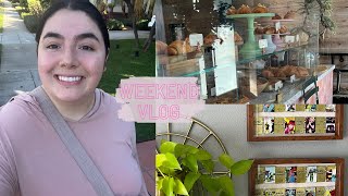 Weekend Vlog  Errands, Deep Cleaning, Pin DIY