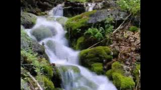 Minshawi, Surah 24. An-Nur (Light), verses 35-41