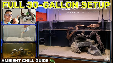 FULL 🐢 30-Gallon Musk Turtle Tank Setup (Waterbox) | Ambient Chill Build Guide