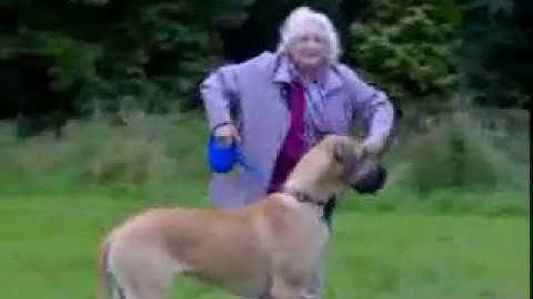 4 Idiots from www metacafe com