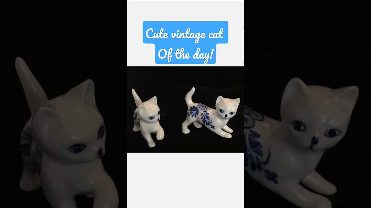 Adorable Cat Highlight of the Day: #flipping #thrifting #cats Adorable Cat Highlight of the Day: #flipping #thrifting #cats