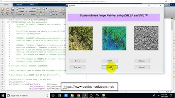 Content Based Image retrieval using DRLBP