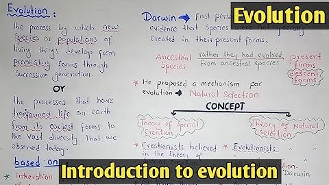 Introduction to evolution | Class 12 Biology