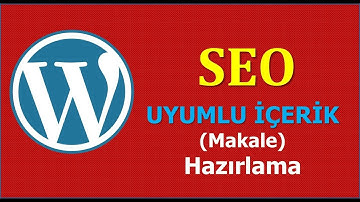 WORDPRESS SİTEDE SEO UYUMLU İÇERİK (MAKALE) EKLEME / BİLGİYOLCUSU