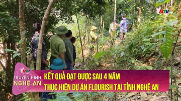 Kết quả đạt được sau 4 năm thực hiện dự án FLOURISH tại tỉnh Nghệ An