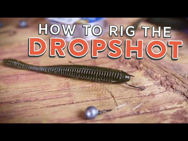 Drop Shot Rig: How To Rig the Drop Shot (Tutorial) 
