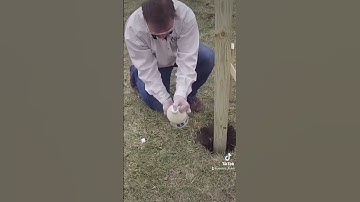 The easiest way to set fence posts #diyprojects #fenceinstallation