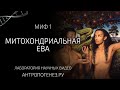 Миф о митохондриальной Еве. Мифы об эволюции человека.