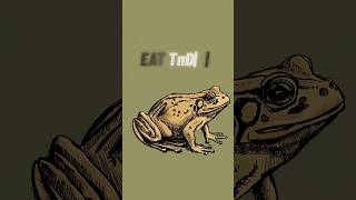 Eat that Frog by Brian Tracy #timemanagement #productivity #procrastination #selfimprovement