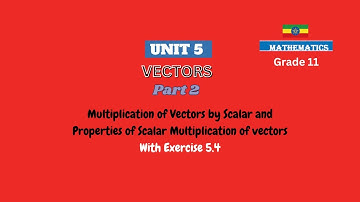 Grade 11 Maths Unit 5 - Vectors Part 2 multiplication of vectors by scalar | #exercies5.4