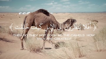 {أَفَلَا يَنظُرُونَ إِلَى الْإِبِلِ كَيْفَ خُلِقَتْ} من سورة الغاشية - القارئ علي جابر