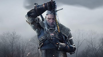 Witcher 3 / Gameplay Walkthrough / No Commentary / #10