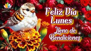 Happy Monday, a day full of blessings | Good morning | Happy start to the week