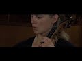 P. Vasks | The Fruit Of Silence | String quartet | Dordrechts Kamerorkest