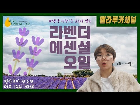요즘 질환들 #불면증 #생리통 #기관지염 효능 만점 라벤더오일로 잡아버리자! ------- 멜라루카 제품 아로마 아로마테라피 에센셜오일 네트워크마케팅