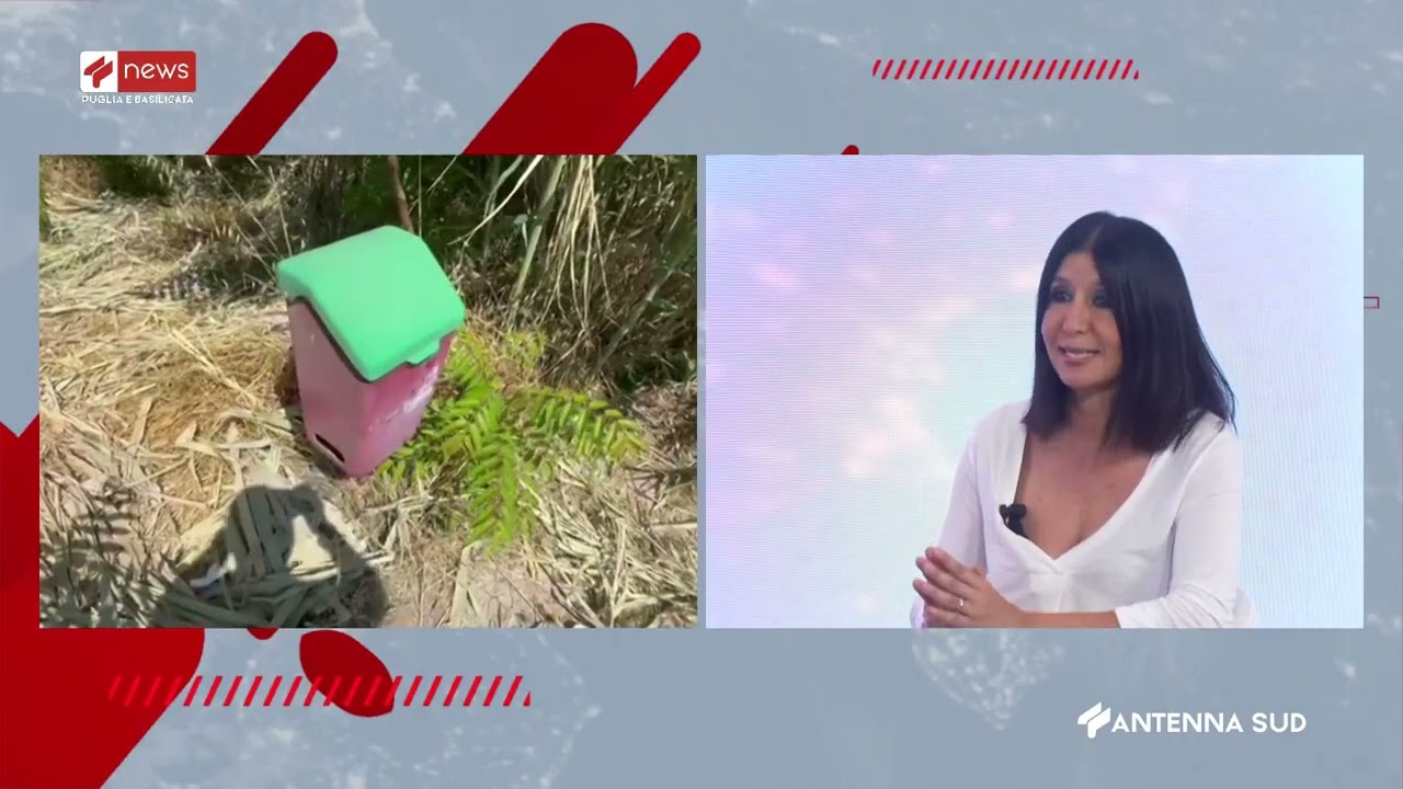 APPROFONDIMENTO TG CON MARIA PASSARO DEL 24 GIUGNO 2026