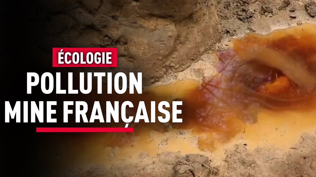 Pollution massive cachée : enquête au cœur des Cévennes – Reportage écologie - KM