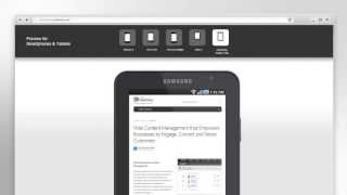 Mobile CMS Solution - Selecting a Mobile Development Strategy screenshot 2