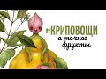 НАРИСУЙ КРИПОВЫЙ ФРУКТ + тест новых красок #КриповощиЗимнийФрукт