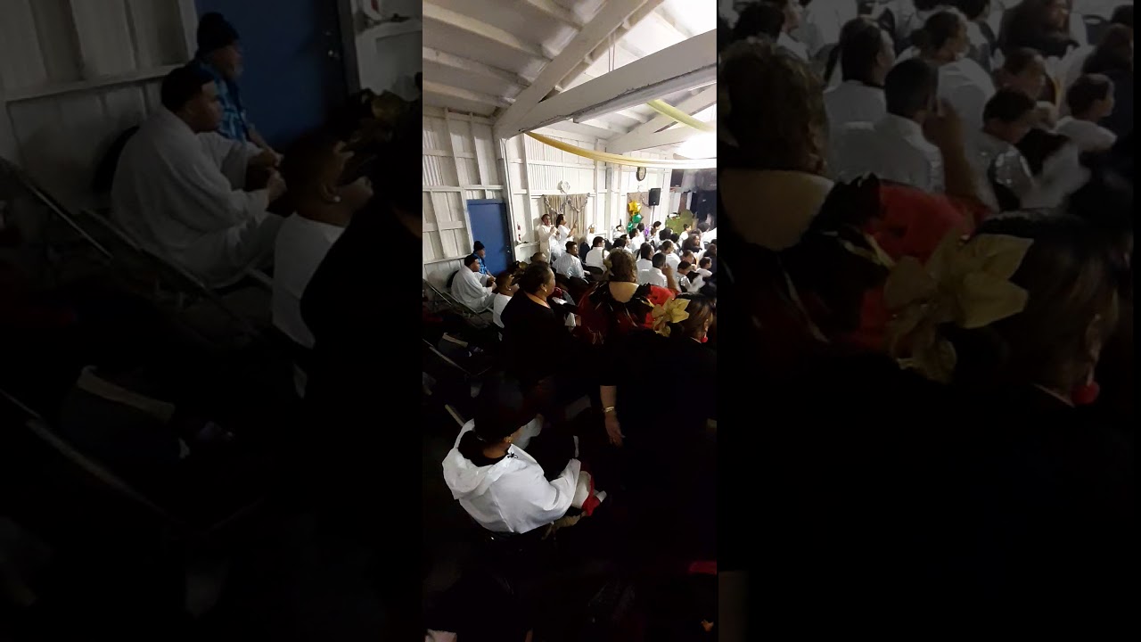 Amataga fou Christmas 2019