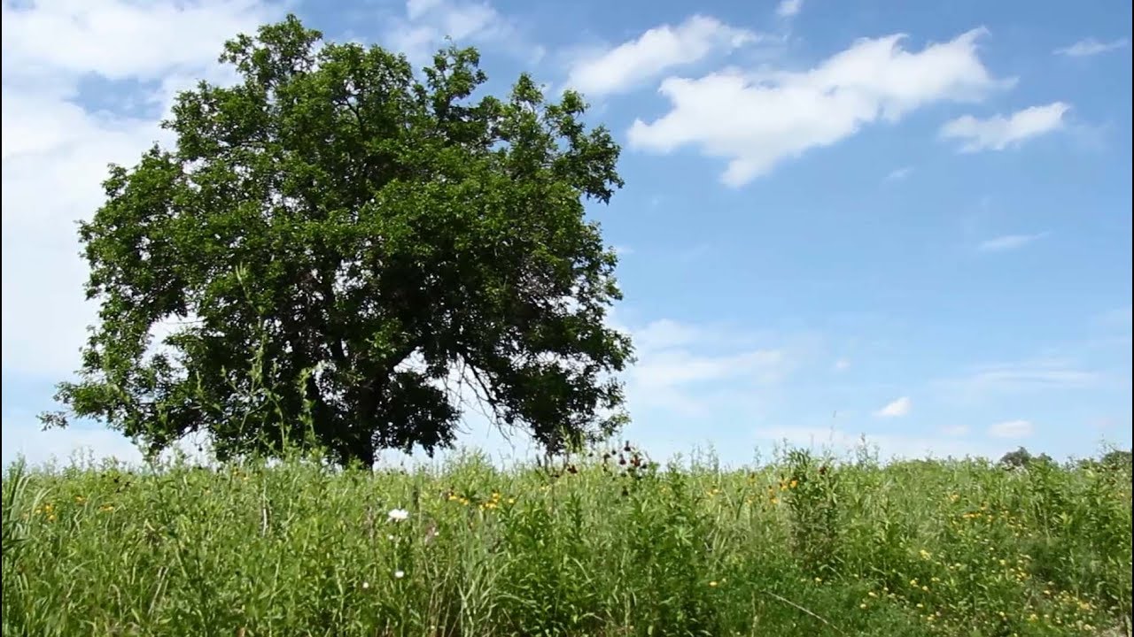 Delphi Historic Trails Safety and Security