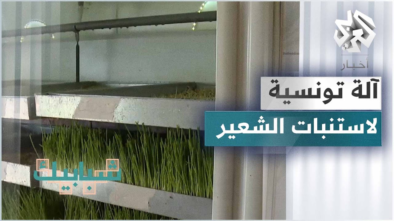 شاب تونسي يطور آلة لاستنبات الشعير لمواجهة أزمة نقص العلف