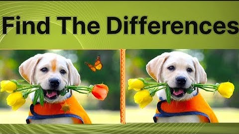 Spot 5 Differences | Spot 5 Difference Between two Images | Gamers Street