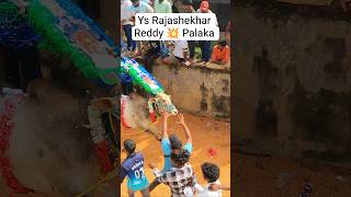 Bull Running Mass Entry Chinapodu Chenu Jallikattu Shorts