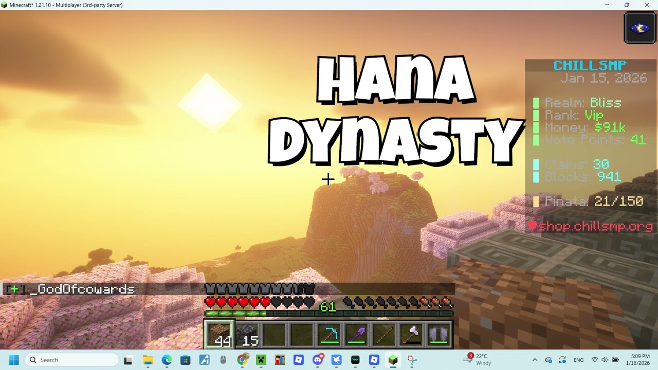 Springville ChillSMP Showcase