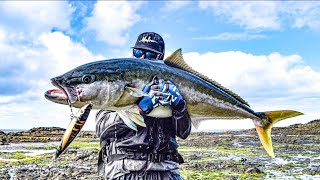 What It Takes To Catch A Real GIANT 