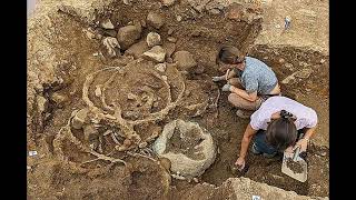 Seven Wagons in a Ditch: The Melsonby Iron Age Hoards