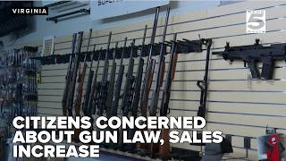 Proposed Virginia gun laws spark concern, boost sales at Marion gun store