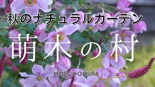 【宿根草の庭】萌木の村は秋もやっぱり素敵！〜八ヶ岳のナチュラルガーデン散策〜