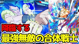 【神性能】BM6弾SECゴジータ:BRを使ってみた！【スーパードラゴンボールヒーローズ】