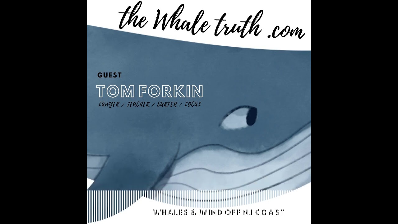 Whales & Wind Farms with Tom Forkin