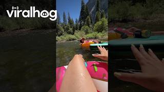 Floating Is Hard When the Water Level Is Low || ViralHog
Floating Is Hard When the Water Level Is Low || ViralHog Floating Is Hard When the Water Level Is Low || ViralHog