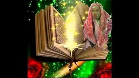 الشيخ نورالدين سورة القلم