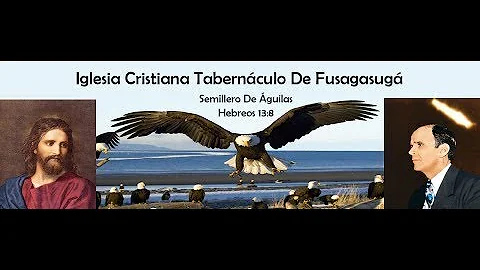 VOTO ES CASAMIENTO #14. ( LA ELECCIN ES  BUENA COS...