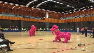 香港中文大學矯形外科及創傷學系骨質硏究組 陳勵雄師傅 清晨太極班二十週年慶典  洪錦培體育會洪樂文國術龍獅團到賀Hung Fut Kung Fu
