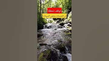 وكان الله غفورا رحيما #تلاوة_خاشعة #tilawet #راحة_نفسية #اكسبلور #سعد_العتيق #قران