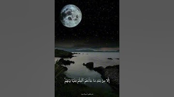 تلاوة تلامس القلب #تلاوة
