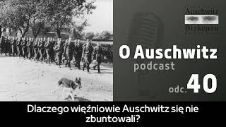 "O Auschwitz" (odc. 40): Dlaczego więźniowie Auschwitz się nie zbuntowali?