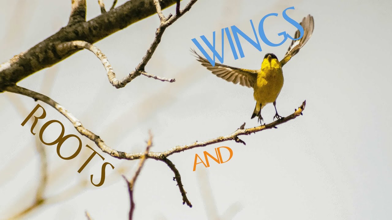 Roots and Wings - October 24, 2021 - YouTube