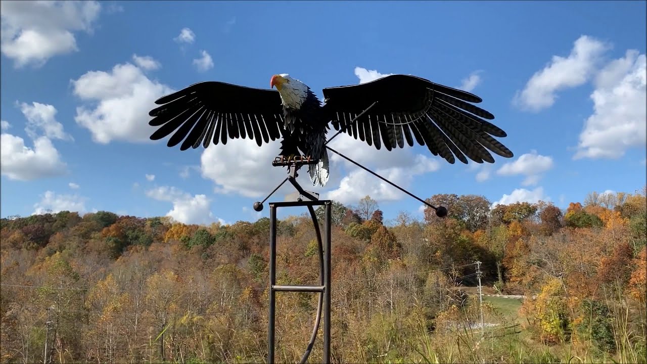 【Forestman works】Eagle touch the sky 619VtfUFKhL.jpg_BO30,255,255,