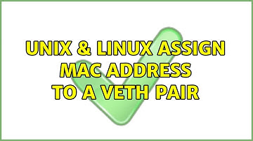 Unix & Linux: Assign MAC address to a veth pair