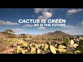 Cactus Vegan Leather process - Desserto®