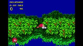 [TAS] Sonic 2 Heroes Knuckles Aquatic Ruin Zone By TheRandomMaster in 0:47:51.00