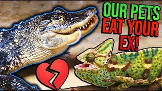 Feeding Your Exes to our Pets for Valentine's Day!