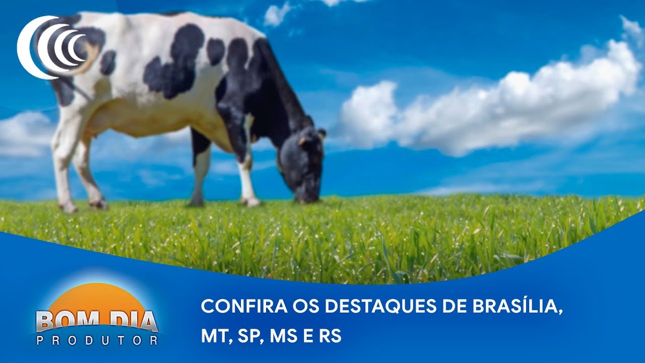 Confira os destaques de Brasília, Mato Grosso, São Paulo, Mato Grosso do Sul e Rio Grande do Sul - YouTube